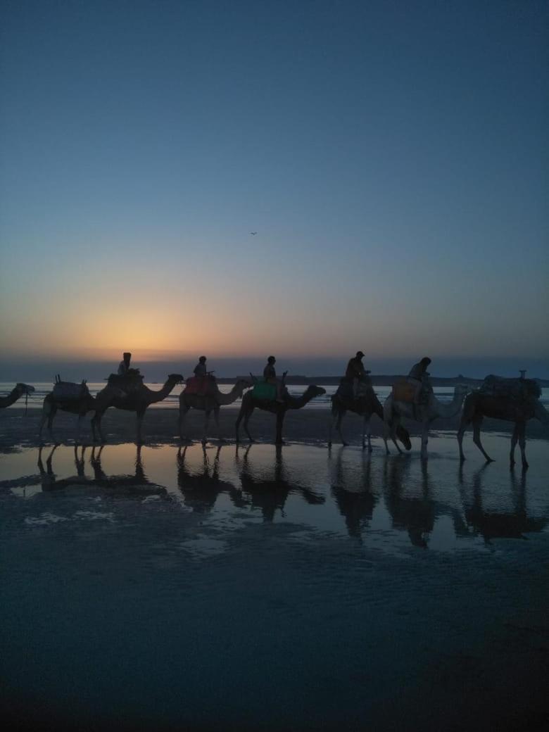 Caverne d'Ali Baba Essaouira Eksteriør billede